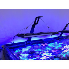 Universal lighting support