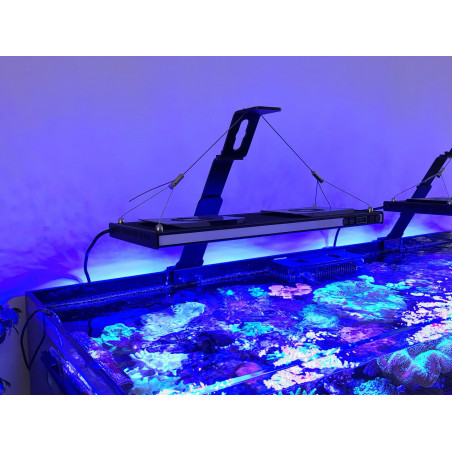 Universal lighting support