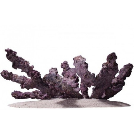 Caribsea CaribSea Life Rock Belize Branch (9kg) Pierres sèches