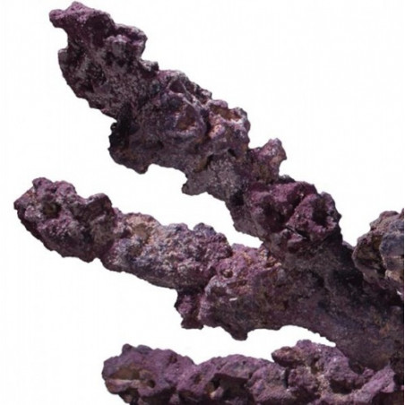 CaribSea Life Rock Belize Branch (9kg)