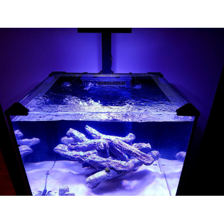 Bananaquarium FishGuard Other