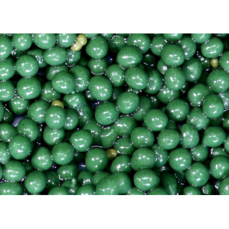 Spirulina+Globuli (phytoplancton) 1000ml