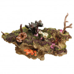 Tunze Coral Rack long Bouturage