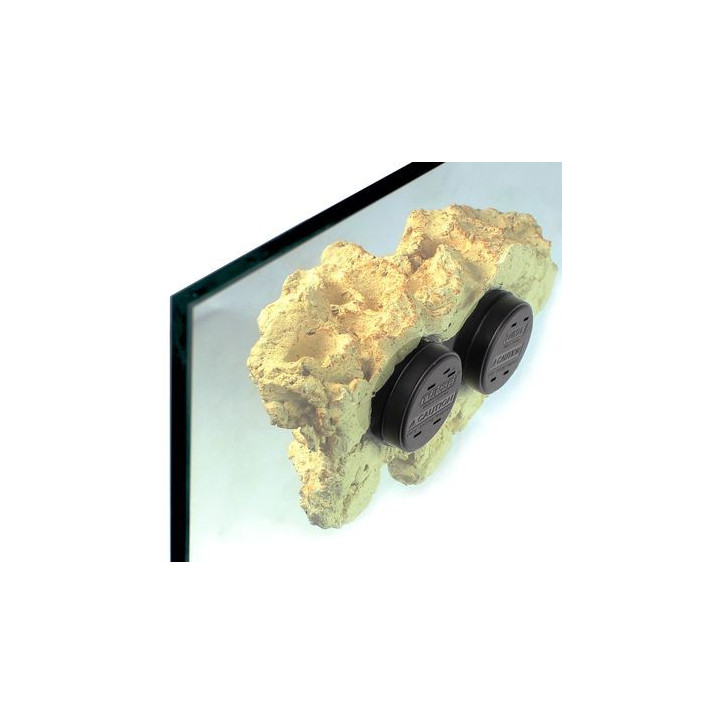 Coral Rack long Coral Rack long