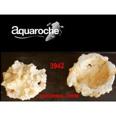 Aquaroche Aquaroche Gobie home 2 entrées (ouvert dessous) Aquaroche