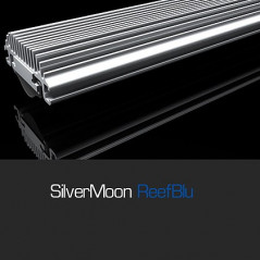 SilverMoon Actinic 438mm