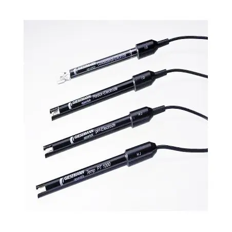 Giesemann Temperature sensor Automation