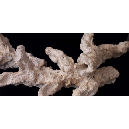 Aquaroche Acroporock XL Branche avec trou Aquaroche
