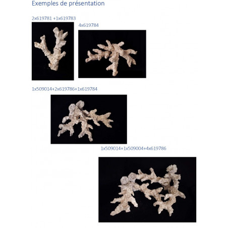 Acroporock XL Branche avec trou