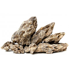 Bonsaqua Dragon stone Decor