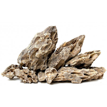 Bonsaqua Roche dragon Décor