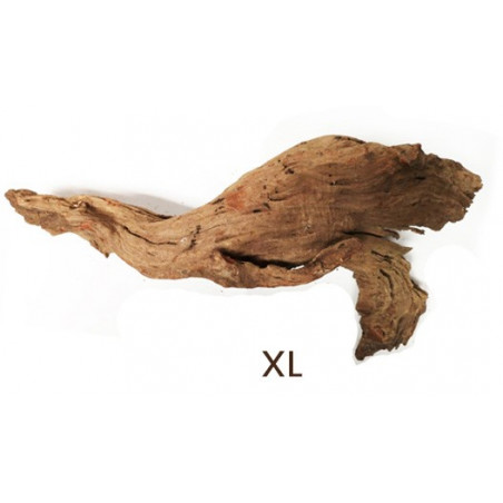 Bonsaqua Kim Chi Wood "XL" Decor