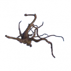 Bonsaqua Spider Wood "L" Décor