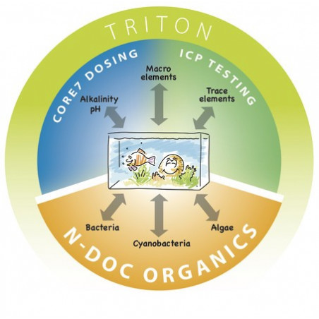 Prüfung Triton Lab N-DOC