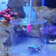 Coral Feeding Cover 80mm