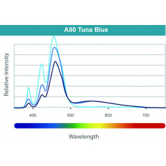 Kessil A80 Tuna Blue Led