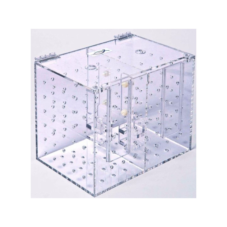 Bac d'acclimatation/quarantaine double Bac d'acclimatation/quarantaine double