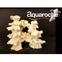 Aquaroche Reef basis medium