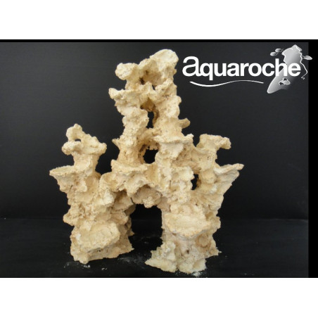 Aquaroche Reef basis high Aquaroche