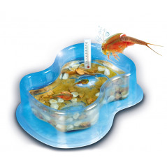 Grow your own Triops