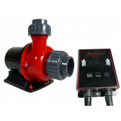 Royal Exclusiv Red Dragon 5 ECO 130 Watt / 11,0m³ Pompe de remontée