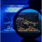 Mobile Phone Coral Photo Lens / Filter Gen2