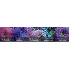 Giesemann T5 powerchrome aquablue coral 54w Tubes, ...