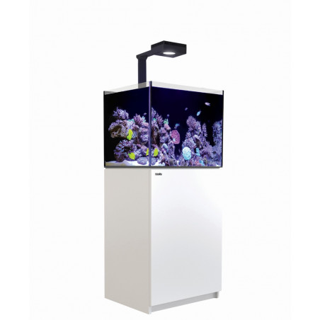 Red Sea Reefer 170 deluxe G2+