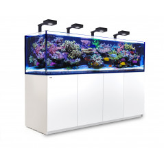 Red Sea Red Sea Reefer 900 Deluxe G2+ (Reefled 160S) Aquarium non équipé