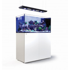 Red Sea Reefer Peninsula 500 G2+ deluxe (Reefled 160S)