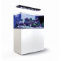 Red Sea Reefer Peninsula 500 G2+ deluxe (Reefled 160S)