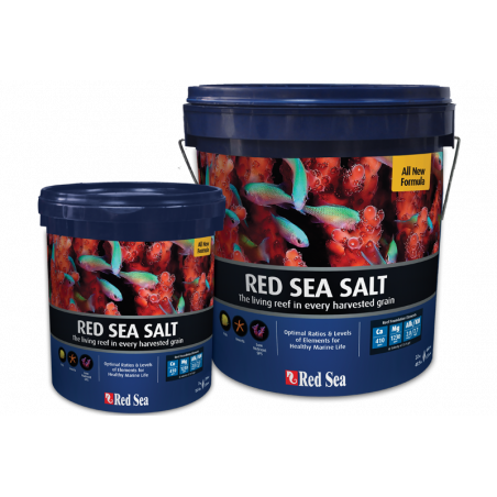 Red sea salt 4kg
