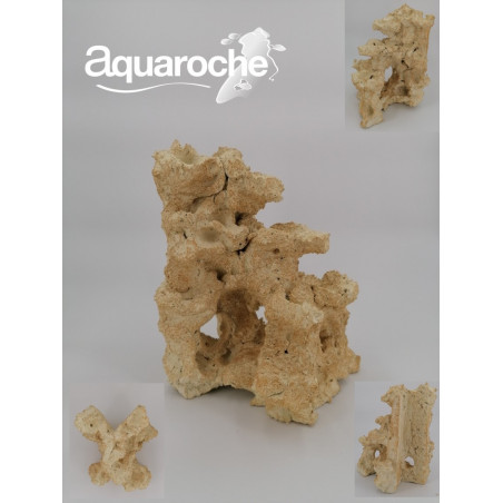 Aquaroche Nano Scape Angle Aquaroche