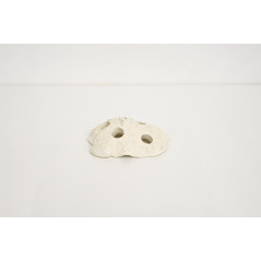 Ocean Wonders Frag Hub 5.0 + 5 Shutolding Supports