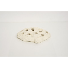 Ocean Wonders Frag HUB 10.0 + 10 supports offerts Bouturage