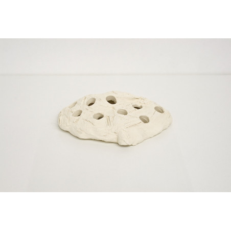 Ocean Wonders Frag HUB 10.0 + 10 supports offerts Bouturage