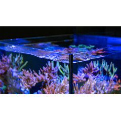 Red Sea Max Nano peninsula G2 Aquarium équipé