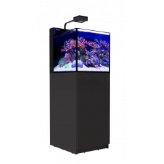 Red Sea Max Nano peninsula G2 Aquarium équipé