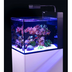 Red Sea Max Nano peninsula G2 Aquarium équipé