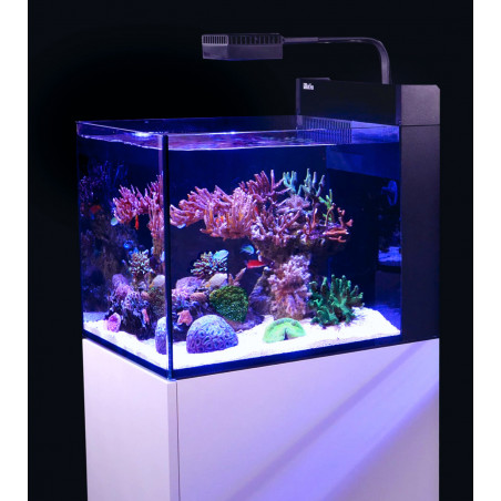 Red Sea Max Nano peninsula G2 Aquarium équipé