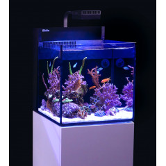 Red Sea Max Nano Cube G2 Aquarium équipé