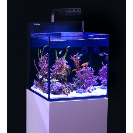 Red Sea Max Nano Cube G2 Aquarium équipé