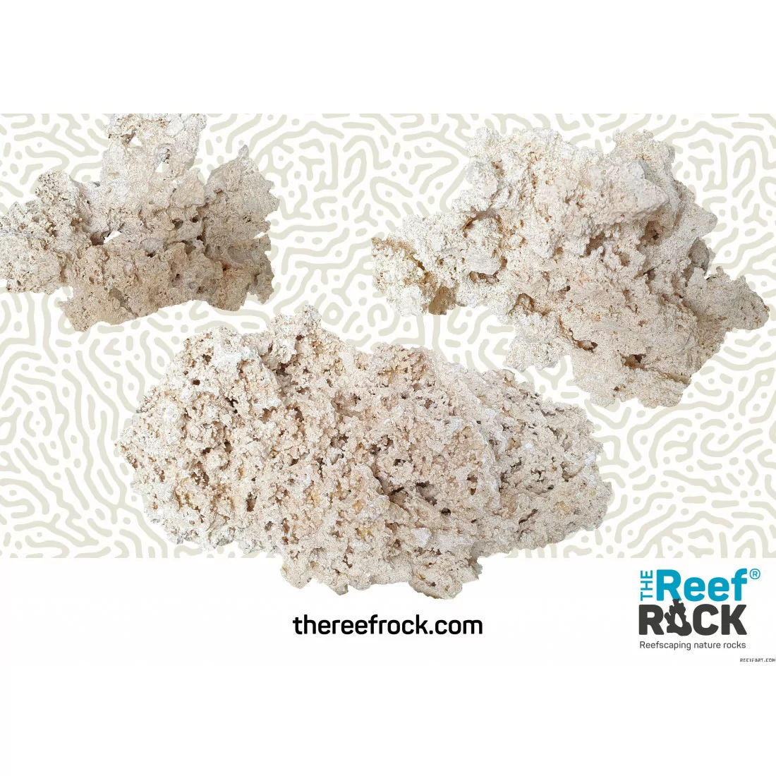 Natural rocks "The reef Rock" (20kg) - Size S