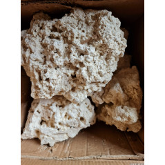 Rochas naturais "The reef Rock" (20kg) - tamanho S