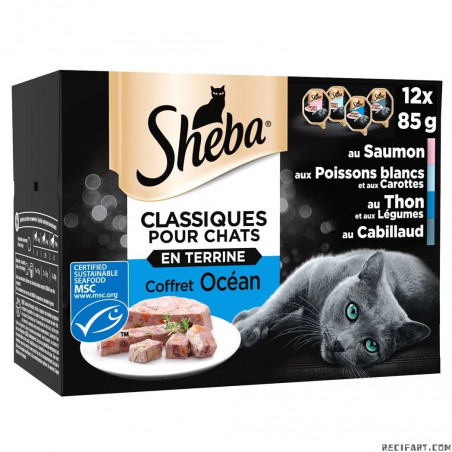 Sheba Terrine Box Ocean (x12) Cat food