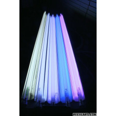 Korallen Zucht T5 Coral Light (Nouvelle génération) 80W Tubes, ...