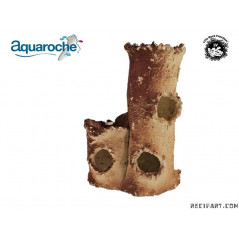 Aquaroche Double tronc 13cm Décor