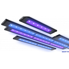 Aquaillumination Blade - Coral Glow 60w Led