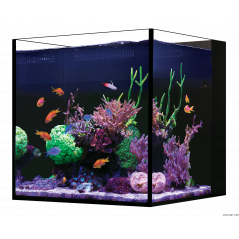 Red Sea Desktop Cube Unequipped Aquarium