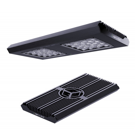 Reef Factory Reef flare pro M Blu LED